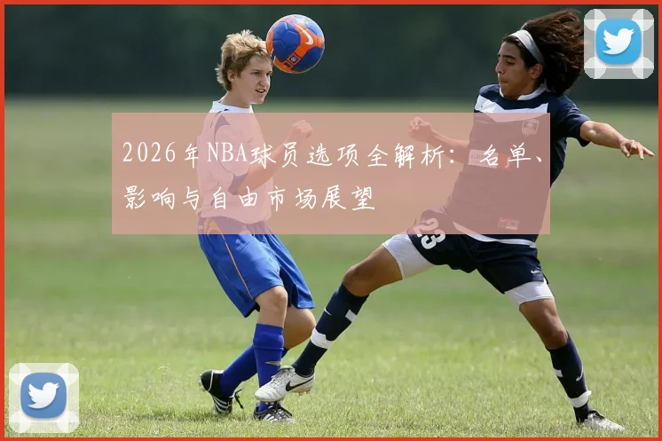 2026年NBA球员选项全解析:名单、影响与自由市场展望