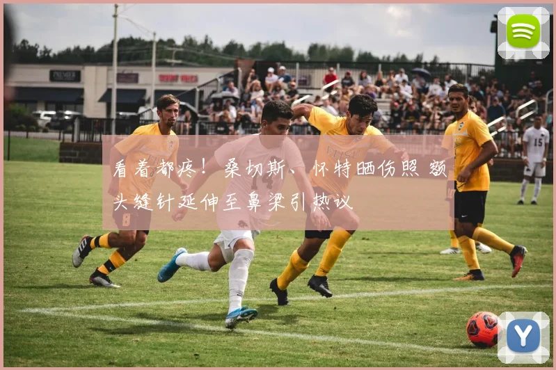 看着都疼！桑切斯、怀特晒伤照 额头缝针延伸至鼻梁引热议